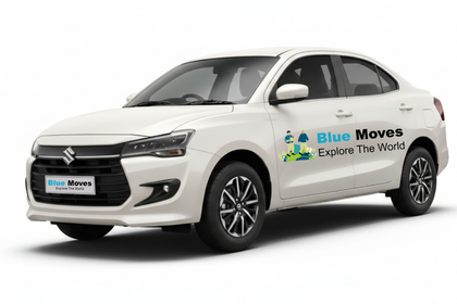 Exective Fleets Blue Moves